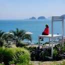 바람의 언덕 이미지