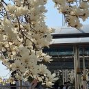 한강 작가, 대화로 읽는다 | [독서] 한 학기 한 권 읽기 : 책 대화로 이어지는 만남