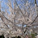 석남완충녹지공원 이미지