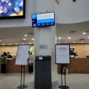 [평창숙소/내돈내산] 평창 여행 &#34;휘닉스파크&#34; 그린동 스위트 객실 후기