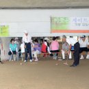 게이트볼 이미지