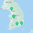 다비치안경 대전역점 앞 이미지