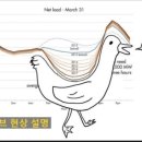 감당2 태양광발전소 이미지