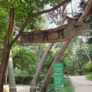 삼태기마을 이미지