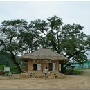 주막칼국수 이미지