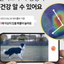 (주)에이아이포펫 이미지