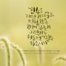 오포2동-4 이미지