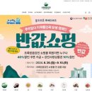 강진-40 이미지