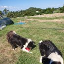 약산농장 이미지