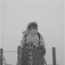 靑春-마음으로 하나 이미지