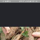 주주리농장 이미지