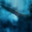 라 댄스 아카데미 이미지