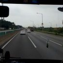풀풀농장