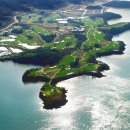 파인비치 이미지