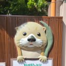 봉암동251 이미지