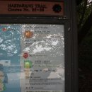 정동진역(버스정류장) 이미지