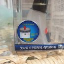 에스지케이알