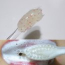 (주)민트메디컬 네이버블로그