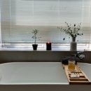 세이안 동교 이미지