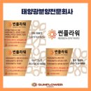 가평 태양광발전소 이미지