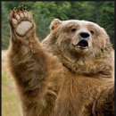 쿠로시로 이미지