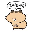 커피사피엔스가산