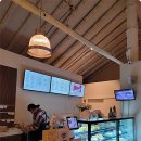 일산애견 이미지