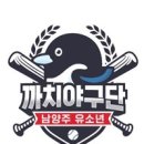 진베이스볼아카데미 이미지
