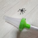 쫑의전쟁 이미지