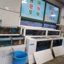 두원횟집 - 광양시 발섬4길 17-14 | 두원횟집