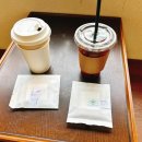 디나인84 이미지