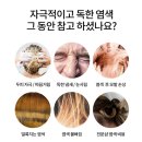 주식회사베베키즈팜 이미지