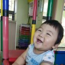 작은 동물원 이미지