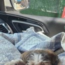 원종동물병원 이미지