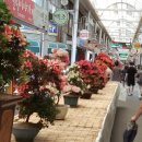 충주자유시장 이미지