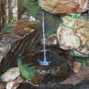 청평자연휴양림 이미지