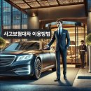 차놀자렌트카안 이미지
