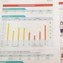 심리운동센터 숲 이미지