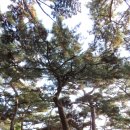 노적봉 도당지 이미지