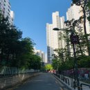 기록을 남길지 기억을 남길지, 자 그건 선수들이 선택합니다 - 영화 &lt;드림&gt; 시사회 후기