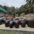 도깨비정원 이미지