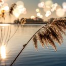 구 국민은행 이미지