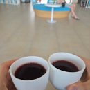 중부우리들작은도서관 | 푸꾸옥 중부 숙소 솔바이 멜리아 푸꾸옥 숙소 내부 및 후기 1탄