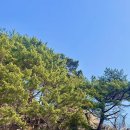 헌화로슈퍼 이미지