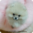 까꿍이 하우스 이미지