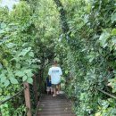 저지오름주차장 이미지