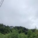 예술인마을 펜션 이미지