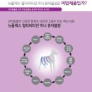 뉴메딕스 | 애니멀닥터 아이앤지메딕스 뉴플렉스 멀티비타로 건강챙기기!!