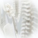 메디캐치 정형외과의원 이미지