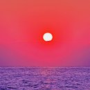 유복이네 이미지